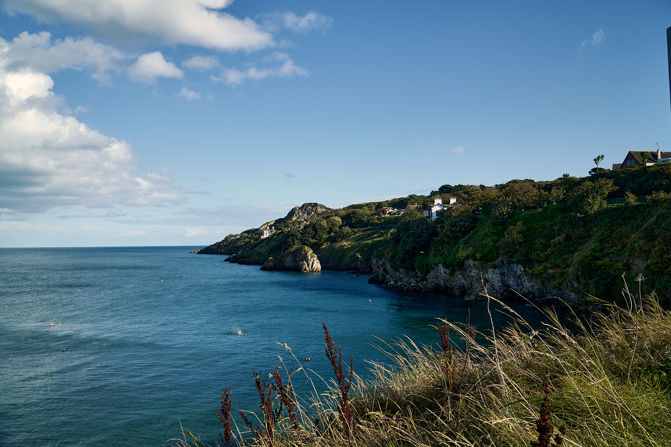 picture taken in Howth, Ireland showing Cliffs and Green