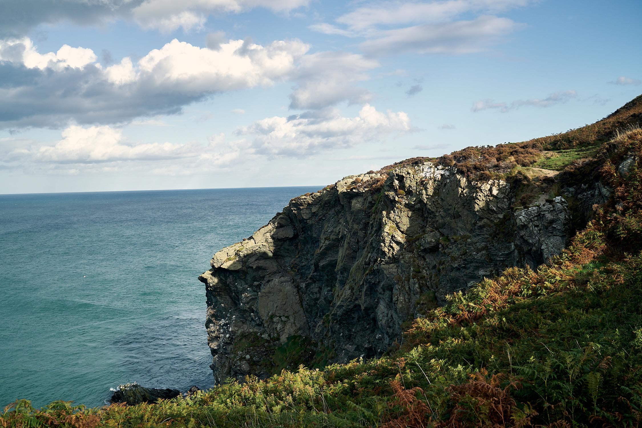 picture taken in Howth, Ireland showing Cliffs and Green