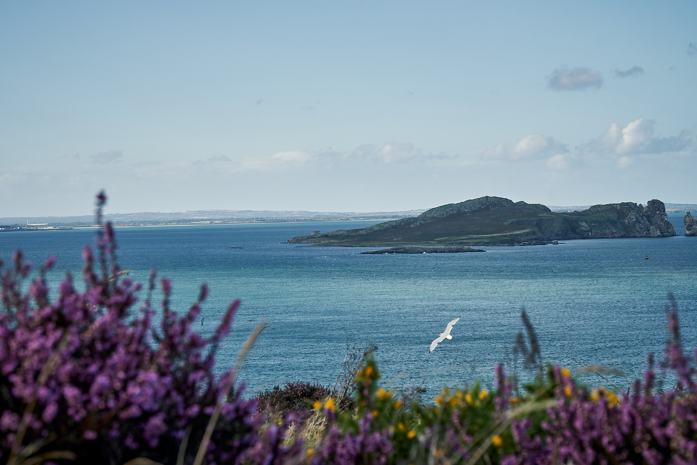 picture taken in Howth, Ireland showing Cliffs and Green